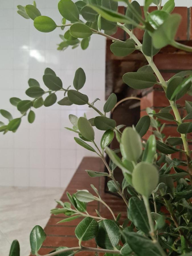 Karmy'S Home Bari Kültér fotó
